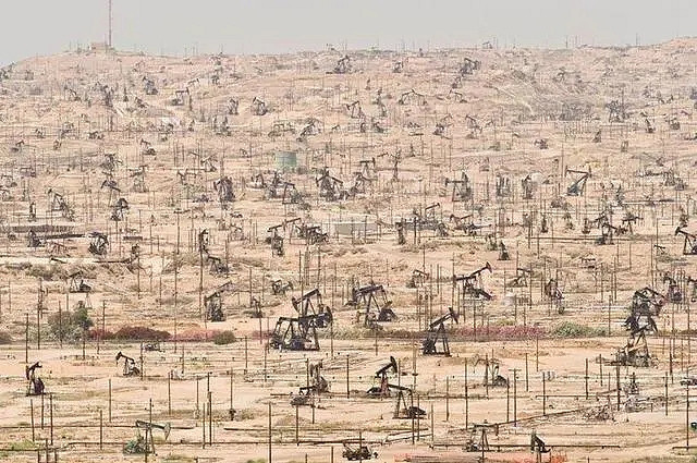 小蟲子的髮型像雷達！27張大漲姿勢的“活久見”照片