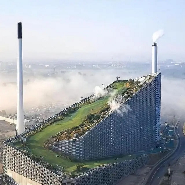 小蟲子的髮型像雷達！27張大漲姿勢的“活久見”照片