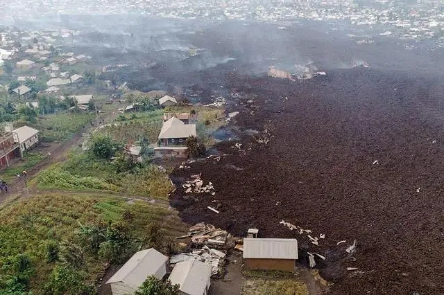 小蟲子的髮型像雷達！27張大漲姿勢的“活久見”照片