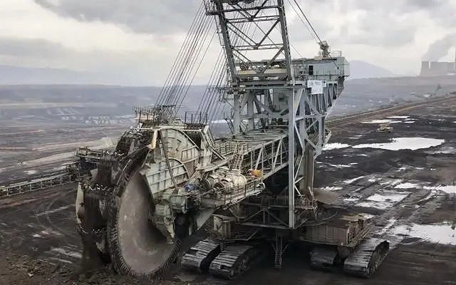 小蟲子的髮型像雷達！27張大漲姿勢的“活久見”照片