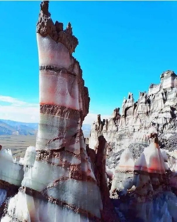 小蟲子的髮型像雷達！27張大漲姿勢的“活久見”照片