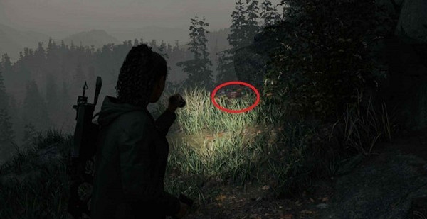 《心靈殺手2》回歸當地女孩午餐盒位置匯總 回歸當地女孩午餐在哪? 《心靈殺手2》回歸當地女孩午餐盒位置匯總 回歸當地女孩午餐在哪?