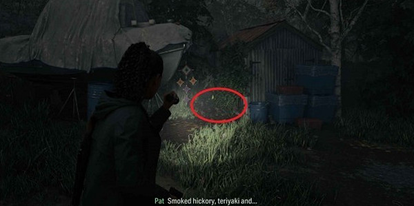 《心靈殺手2》回歸當地女孩午餐盒位置匯總 回歸當地女孩午餐在哪? 《心靈殺手2》回歸當地女孩午餐盒位置匯總 回歸當地女孩午餐在哪?