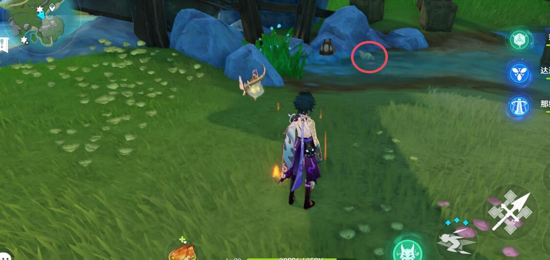 《原神》4.2幽林枝位置大全