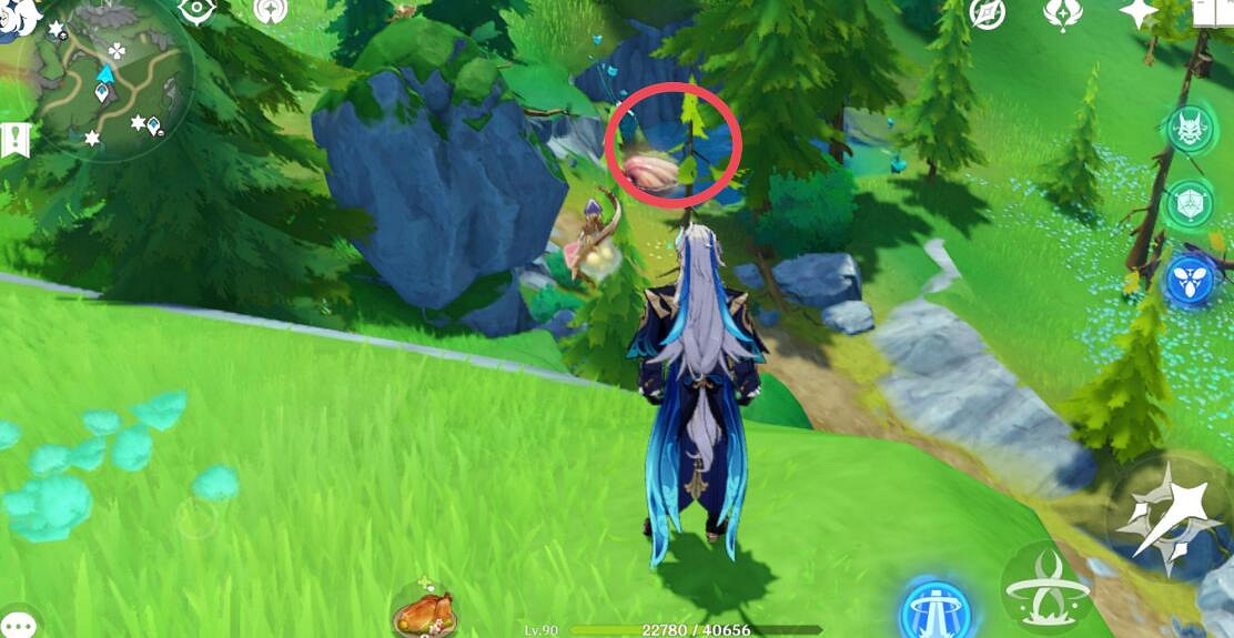 《原神》4.2幽林枝位置大全