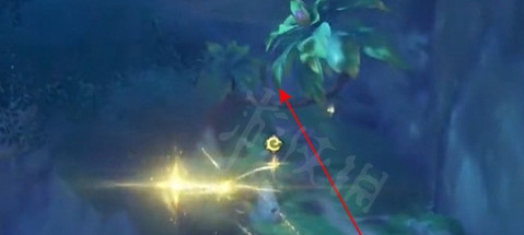 《原神》草之印供奉位置介紹