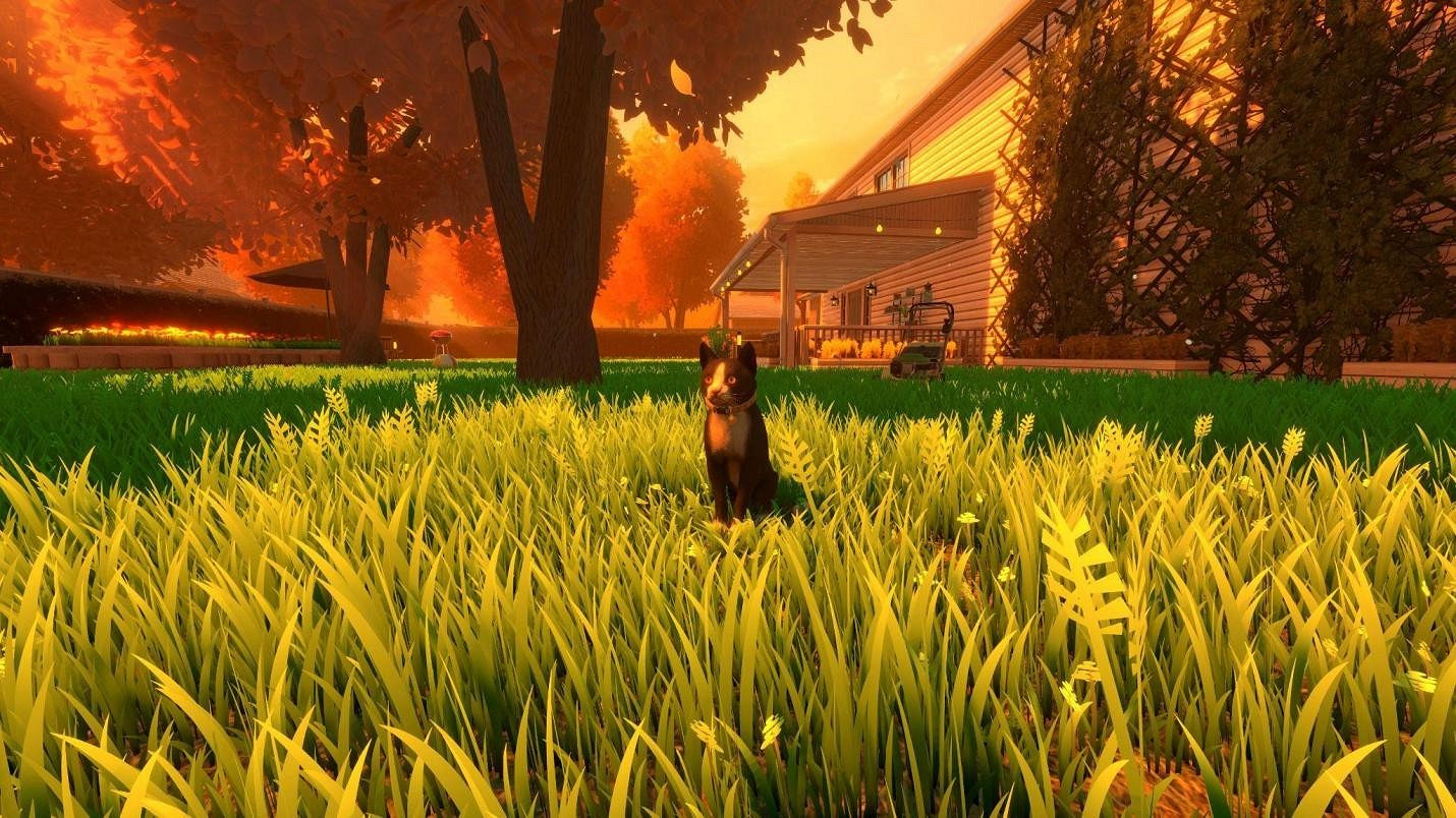 《冒牌貓謎》中文預告片公布！11月18日開啟線下試玩