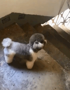 壓力大看看大胸主播怎麽了 動圖 差點就斷子絕孫了