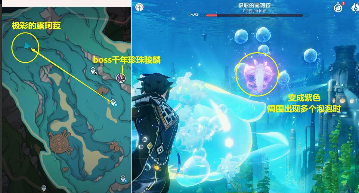 《原神》4.2極彩的露珂菈怎麽打？極彩的露珂菈打法