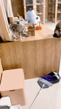 壓力大看看大胸主播怎麽了 動圖 差點就斷子絕孫了