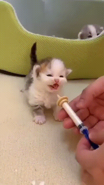 壓力大看看大胸主播怎麽了 動圖 差點就斷子絕孫了