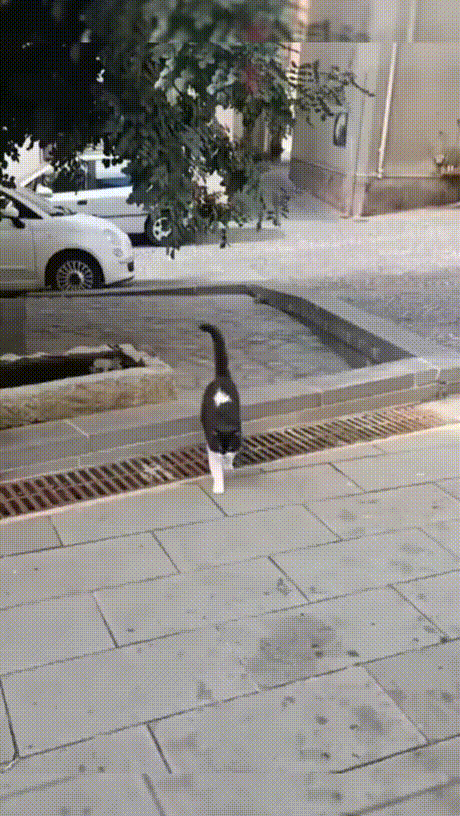 壓力大看看大胸主播怎麽了 動圖 差點就斷子絕孫了