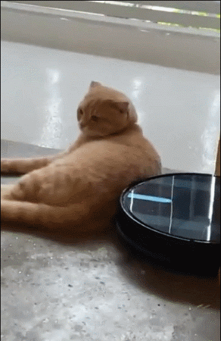 壓力大看看大胸主播怎麽了 動圖 差點就斷子絕孫了