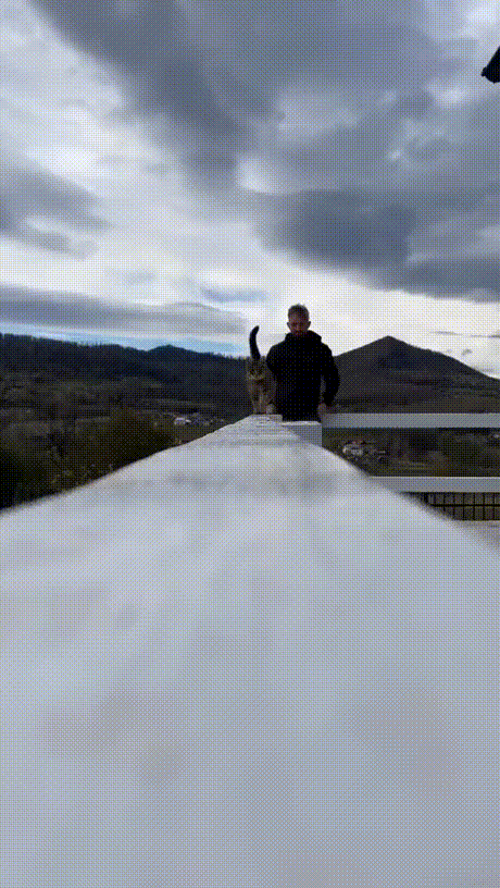 壓力大看看大胸主播怎麽了 動圖 差點就斷子絕孫了