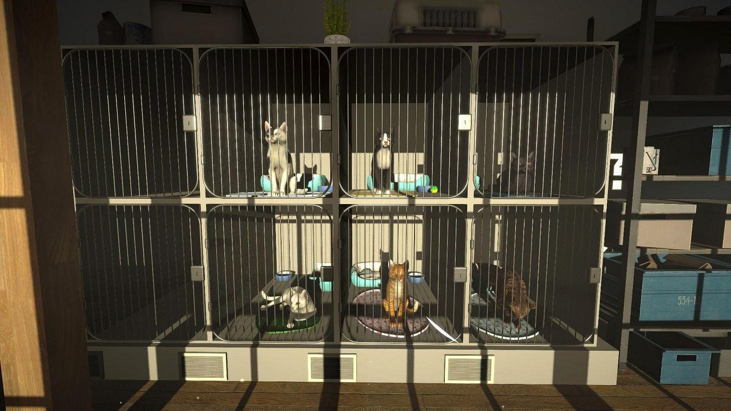 《冒牌貓謎》中文預告片公布！11月18日開啟線下試玩