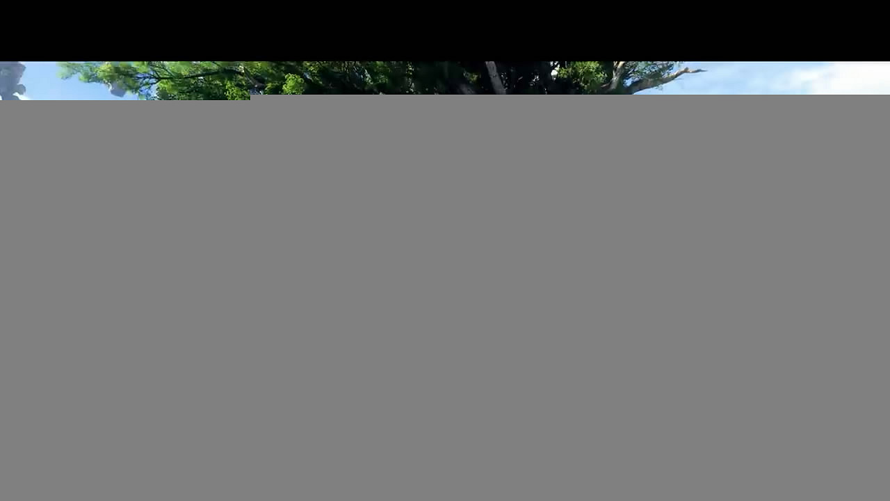 《阿凡達:潘朵拉邊境》新預告片 詳細介紹季票內容 《阿凡達:潘朵拉邊境》新預告片 詳細介紹季票內容