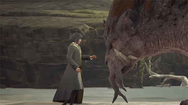 Switch版《霍格華茲》被吐槽:和《星空》一樣加載太多 Switch版《霍格華茲》被吐槽:和《星空》一樣加載太多