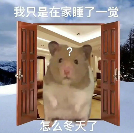 這位全網最窮的網紅，正在被網際網路&quot;造神&quot;和&quot;捧殺&quot;