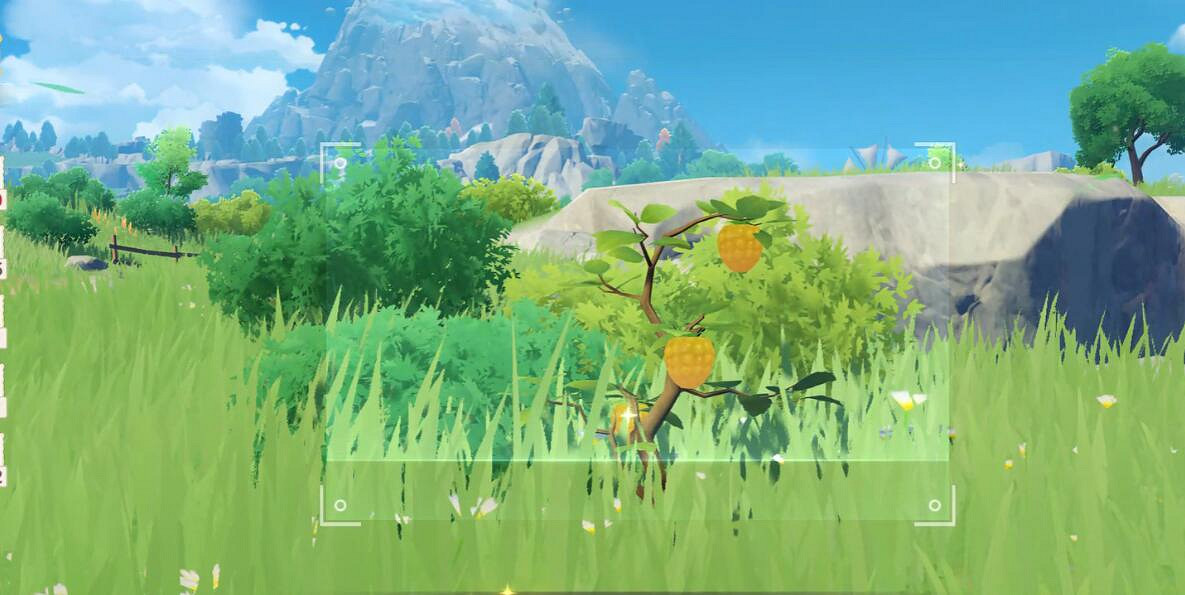 《原神》4.2圖像對抗實驗錄二拍照位置