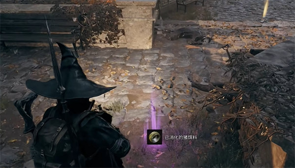 《遺跡2》DLC已消化的豬飼料獲取方法