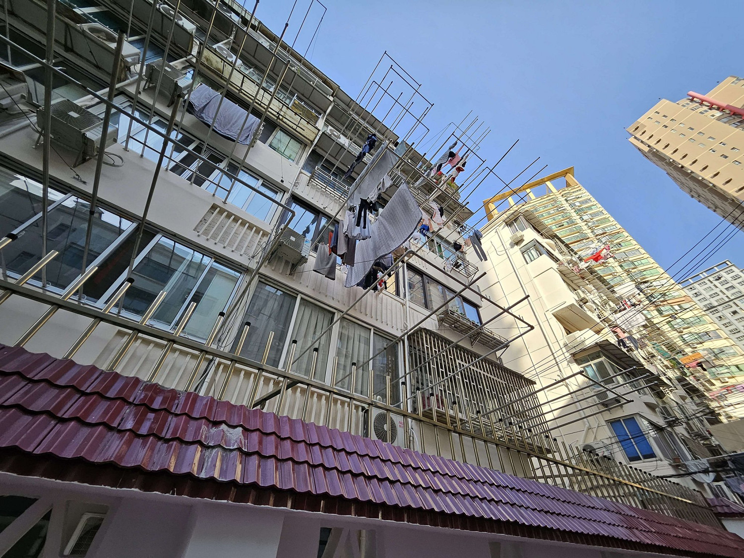 《主播女孩重度依賴》劇本作者にゃるら走失全過程