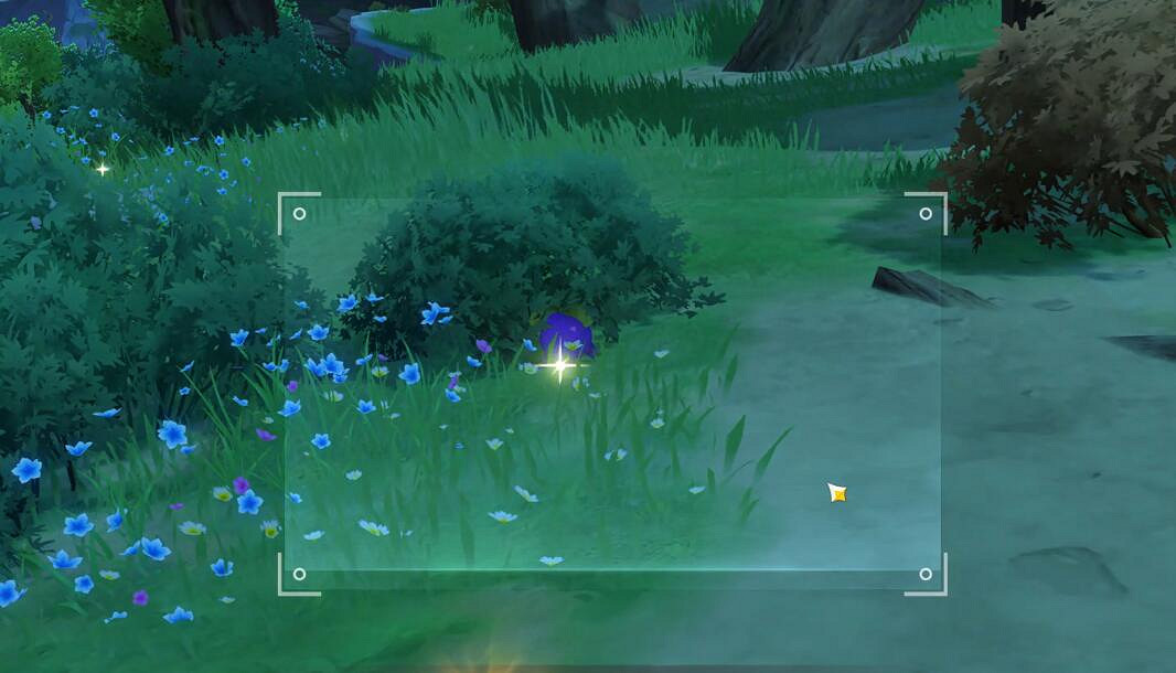 《原神》4.2圖像對抗實驗錄二拍照位置