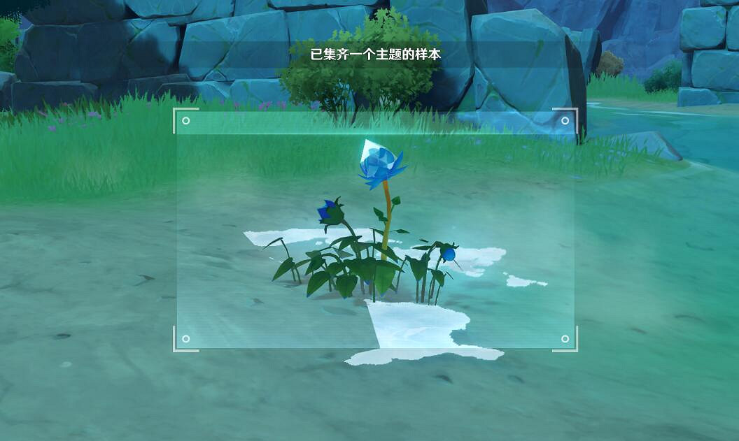 《原神》4.2圖像對抗實驗錄二拍照位置