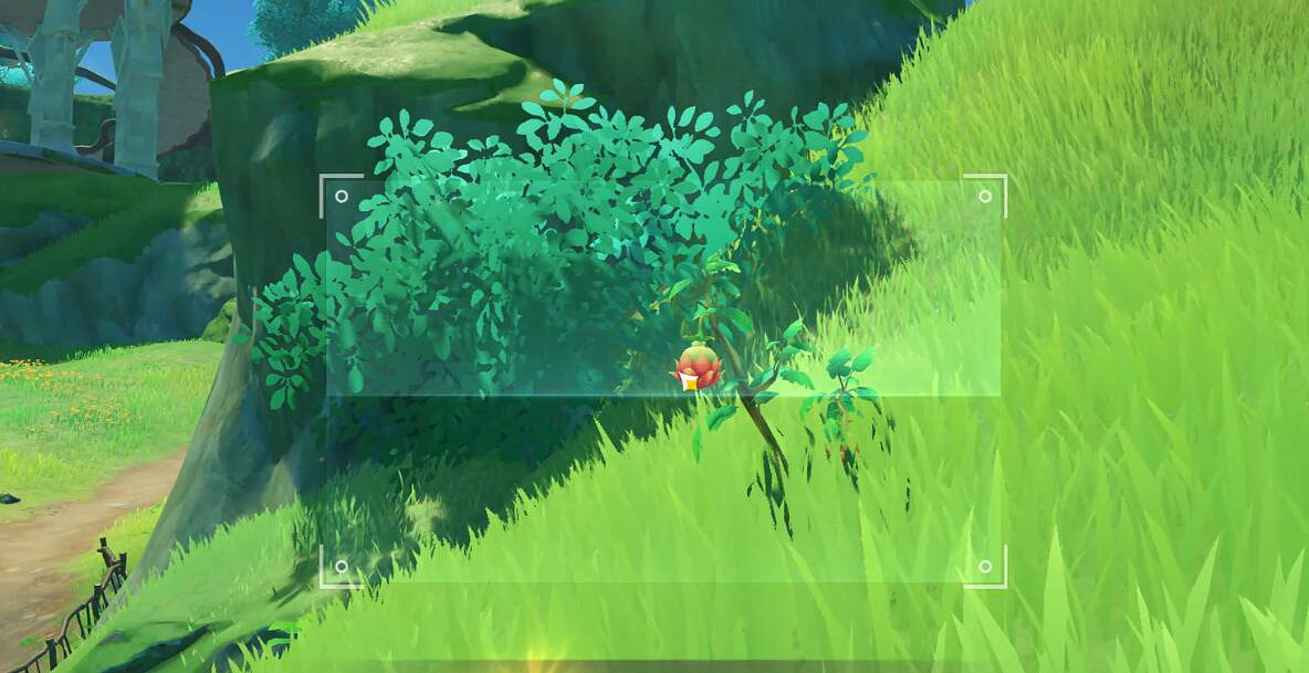 《原神》4.2圖像對抗實驗錄二拍照位置