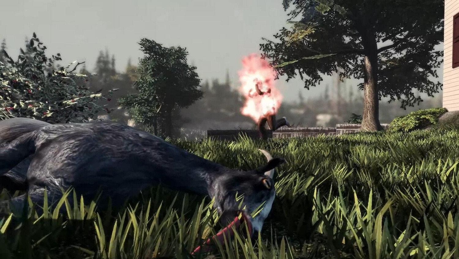 極致惡搞:BUG裡扔進一隻山羊 極致惡搞:BUG裡扔進一隻山羊