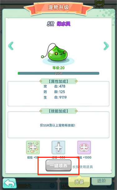 RPG遊戲《冒險島：聯盟的意誌》寵物機制與類型介紹