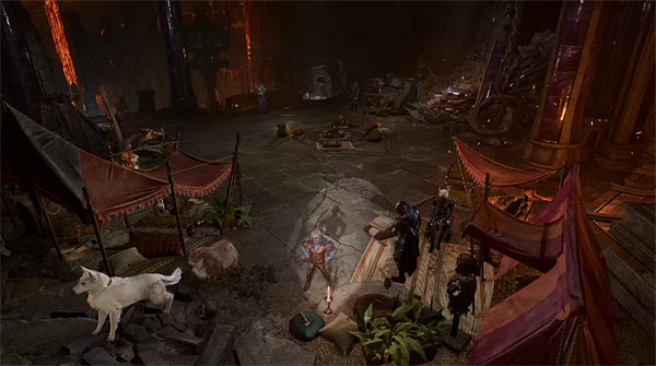 《柏德之門3》全17個營地位置 《柏德之門3》全17個營地位置