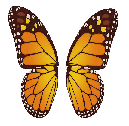 《時尚造夢》第一彈免費更新“冬季更新”即將發布！