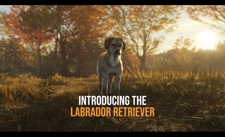 《獵人野性的呼喚》新DLC拉布拉多尋回犬發售 預告賞