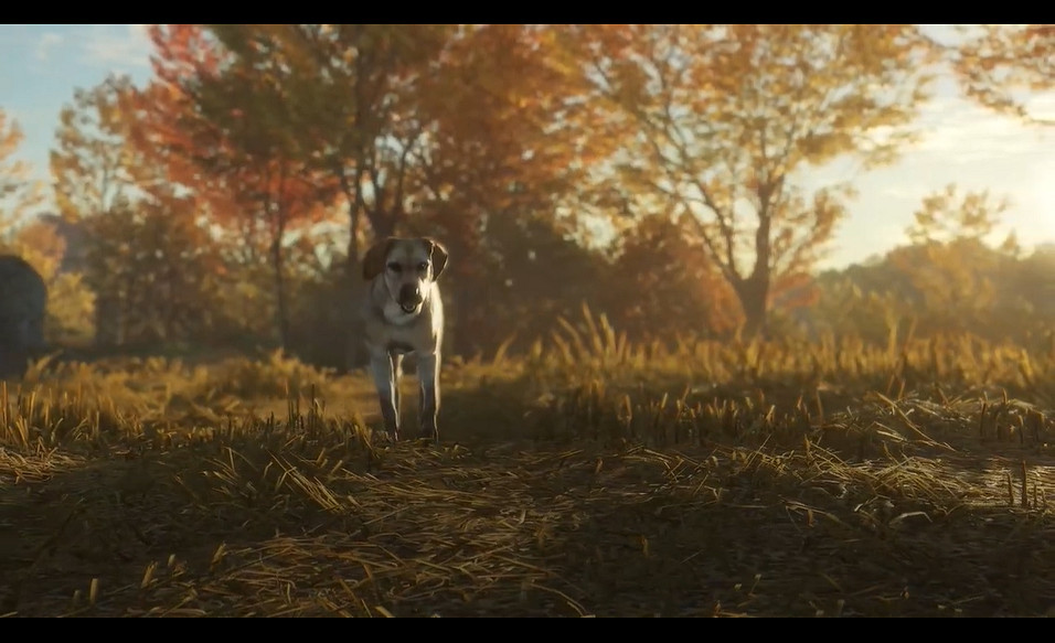 《獵人野性的呼喚》新DLC拉布拉多尋回犬發售 預告賞