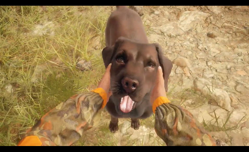 《獵人野性的呼喚》新DLC拉布拉多尋回犬發售 預告賞