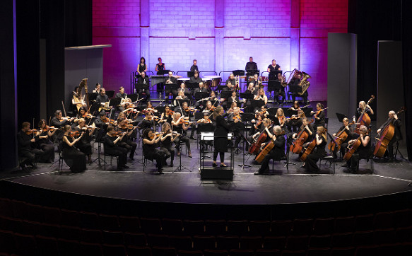 《星露谷物語》官宣將於明年在東京舉辦交響音樂會! 《星露谷物語》官宣將於明年在東京舉辦交響音樂會!