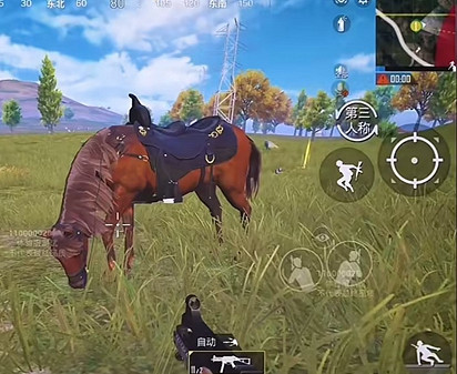 和平精英馬刷新位置介紹