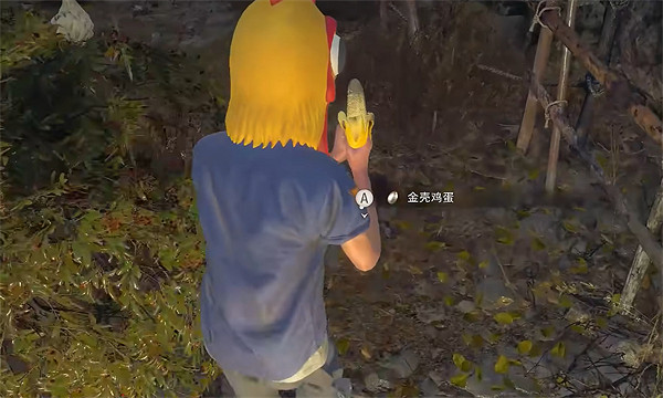 《惡靈古堡4重製版》金蛋位置介紹 《惡靈古堡4重製版》金蛋位置介紹