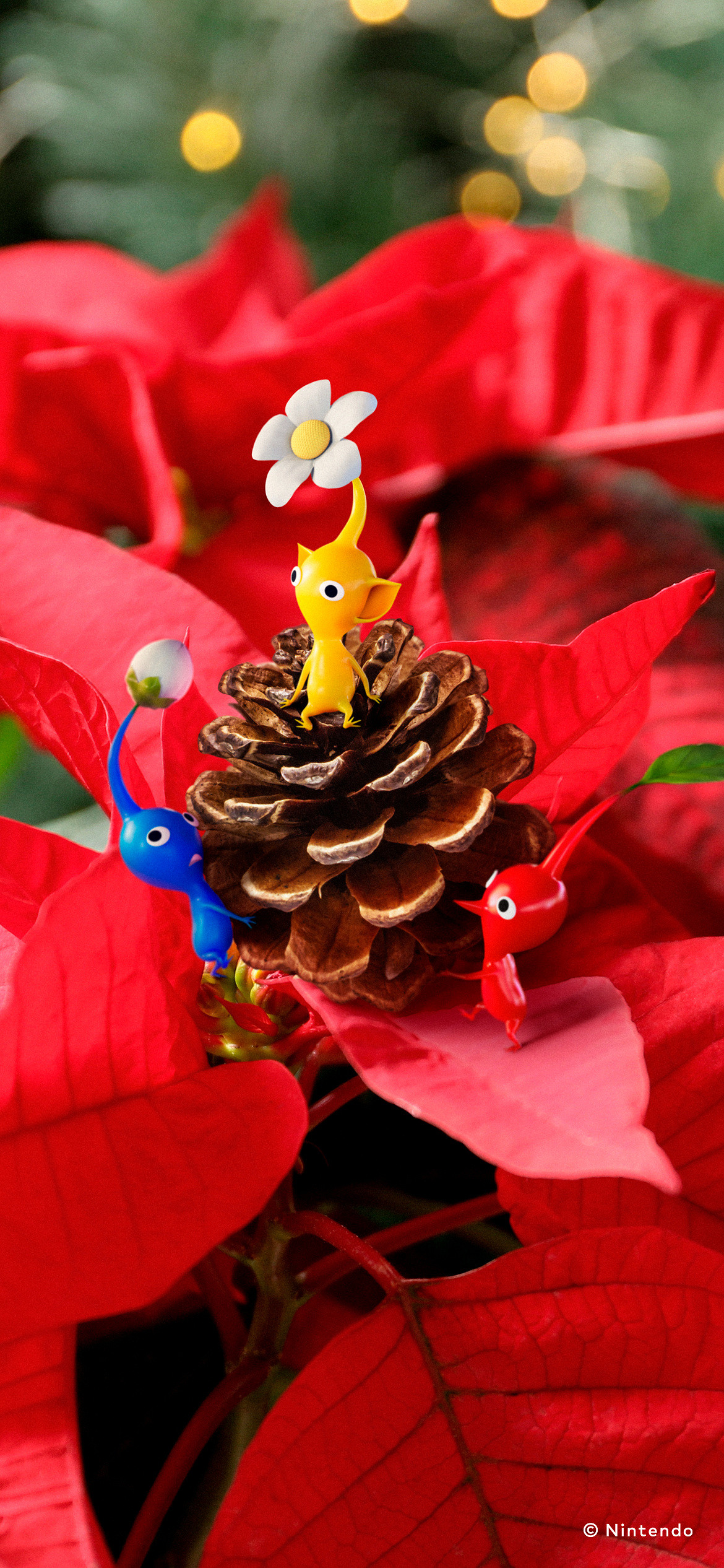 《皮克敏4》12月日曆壁紙上架任天堂官網!可免費領取 《皮克敏4》12月日曆壁紙上架任天堂官網!可免費領取