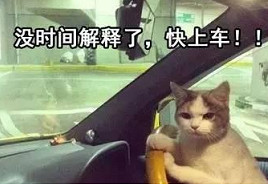 日本人的泳裝研究，開發出了奇怪的新XP