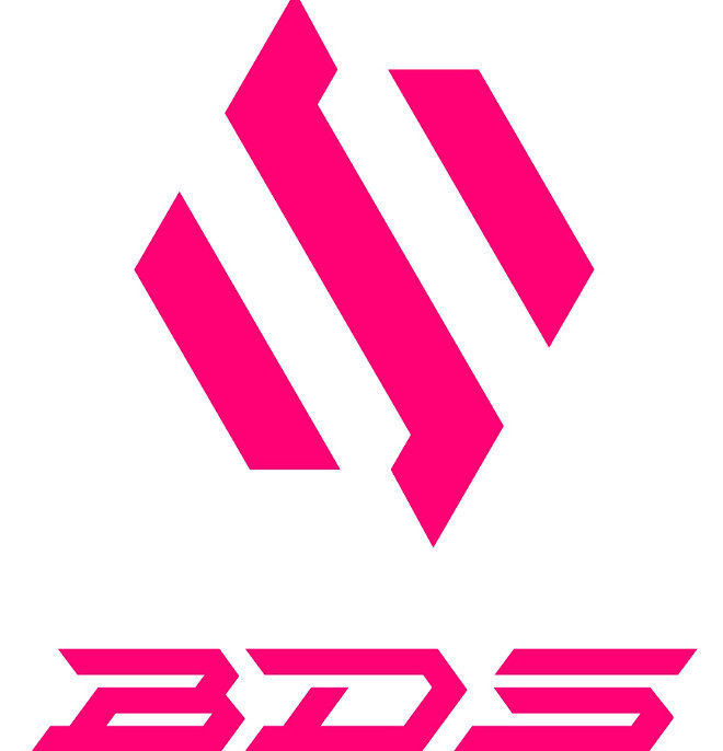 《lol》瑞士輪DK vs BDS影片介紹 《lol》瑞士輪DK vs BDS影片介紹