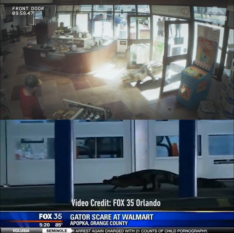 弗洛裡達不養閒人！《GTA6》預告片新聞原型對比