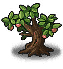 《地下城物語》俠客島迷宮攻略 《地下城物語》俠客島迷宮攻略