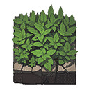 《地下城物語》俠客島迷宮攻略 《地下城物語》俠客島迷宮攻略