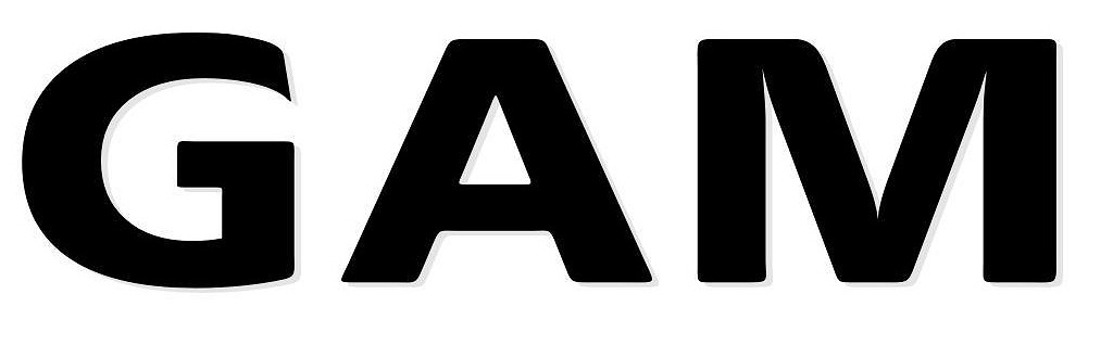 《英雄聯盟》gam戰隊教練組介紹