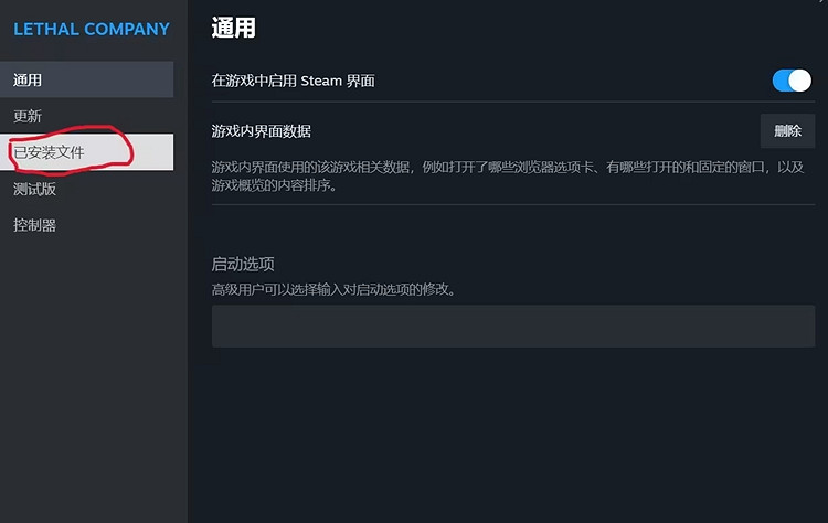 《致命公司》漢化教學 中文設定攻略
