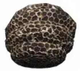 《致命公司》蜂巢作用介紹