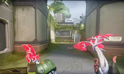 《特戰英豪》裝兩把刀方法介紹