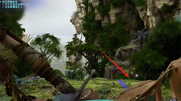 《阿凡達潘朵拉邊境》黑影森林茶褐基礎系帶位置