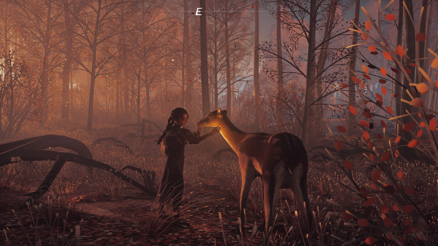 建造屬於你的芭芭雅嘎小屋！《REKA》明年搶先體驗